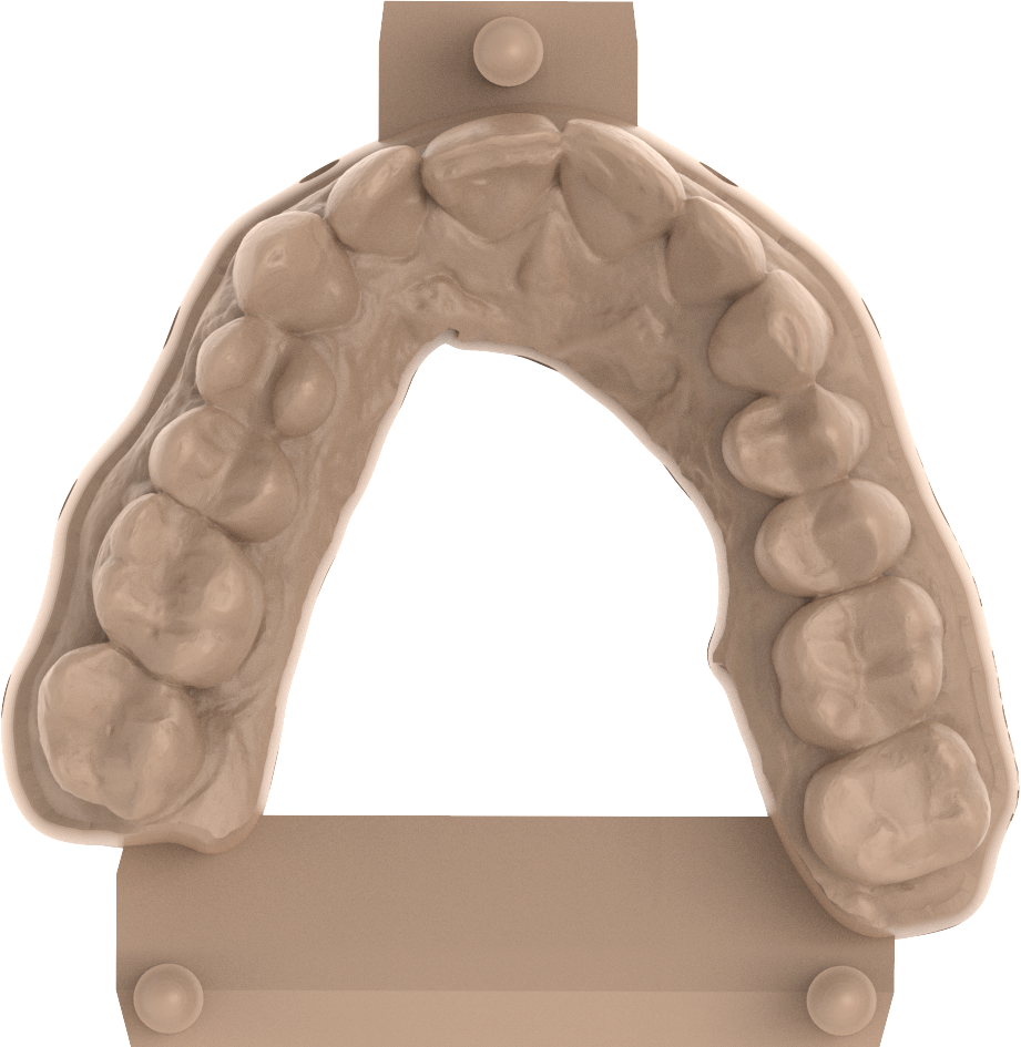  Dental Models