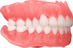 sprintray-apex-base-teeth-denture-removable-left-min