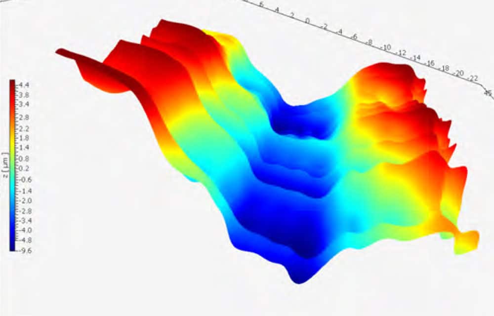 SR NG Longevity Study Tufts 20220616 05