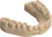 dental-models-e1680000138896 (1)