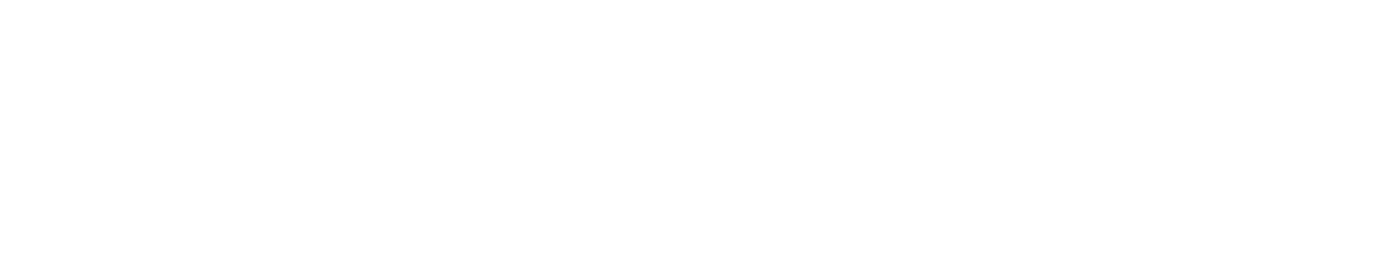 SprintRay DZ