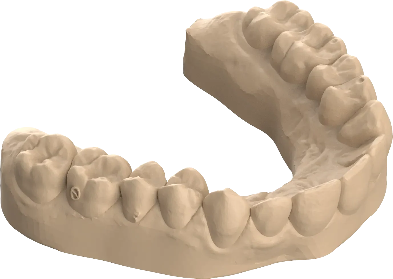 Dental Models E1680000138896