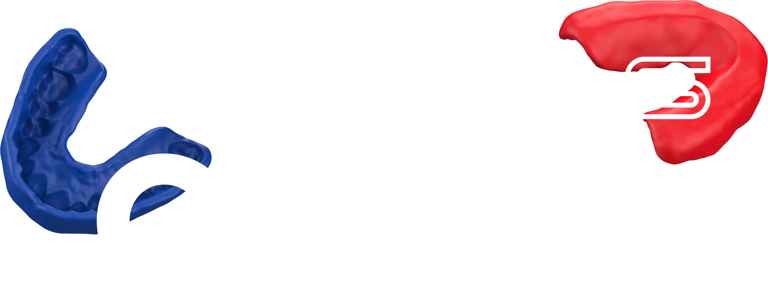 Sports Guard 